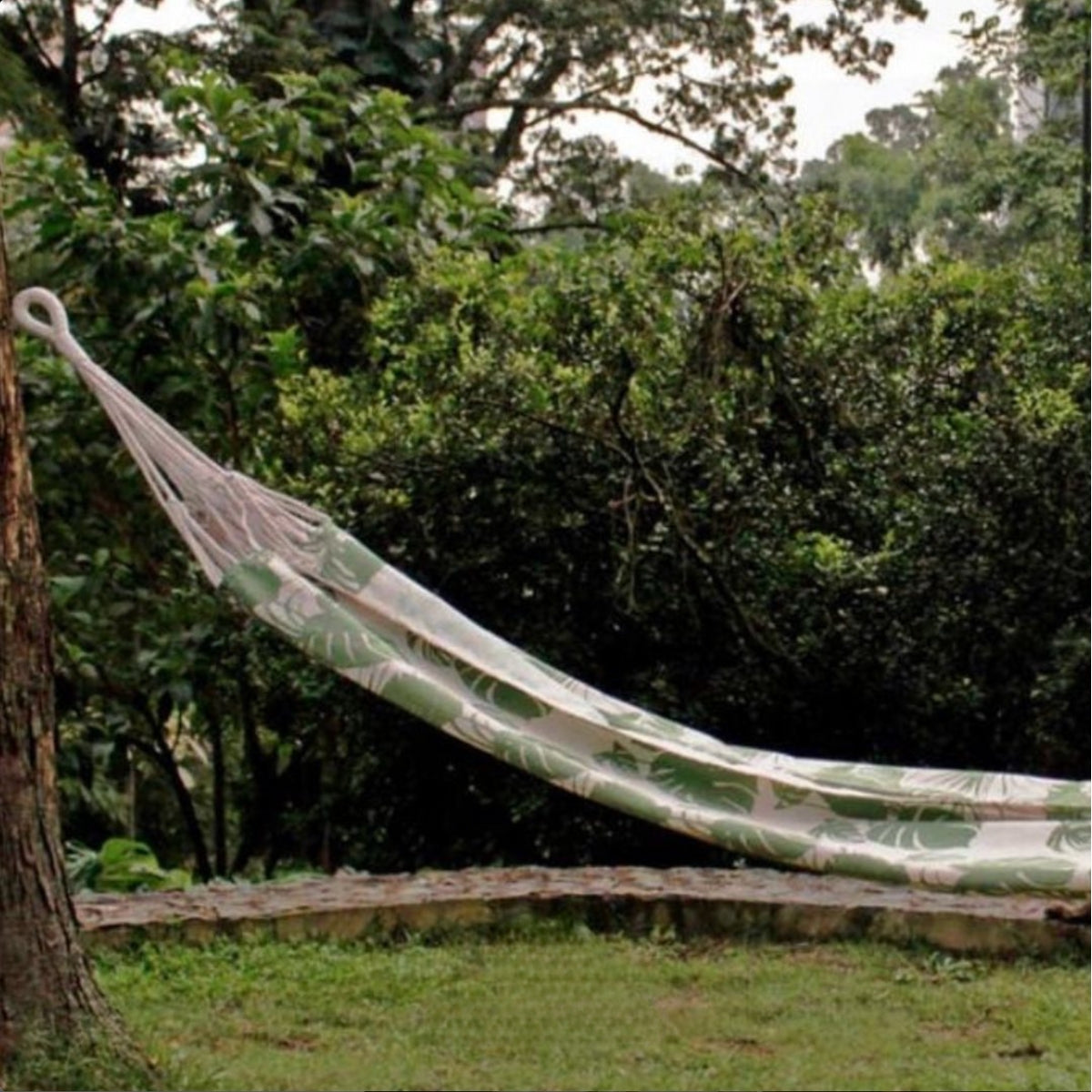 Hammock Green Leaf